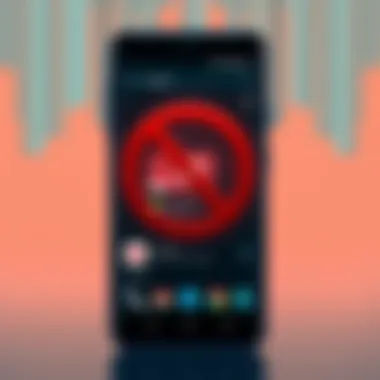 User interface of a popular adblock application for Android