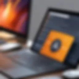 Avast Essential Feature