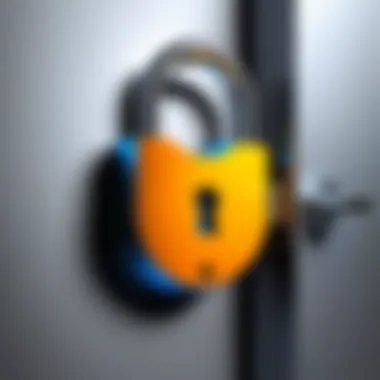 A locked digital padlock symbolizing online security