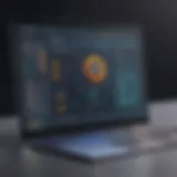 Overview of Avast Antivirus interface demonstrating its user-friendly design