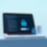 User Interface of a Leading Password Manager User interface of a leading password manager on an Apple device