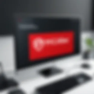 Installing McAfee Software Visual representation of the installation process of McAfee software