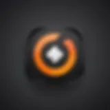 Illustration of Crunchyroll app icon