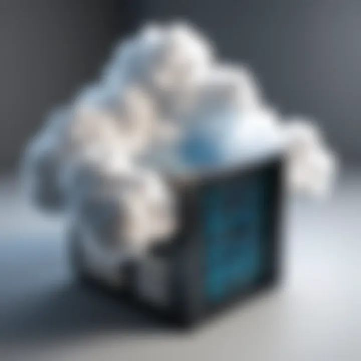 Visual representation of customization options in cloud servers