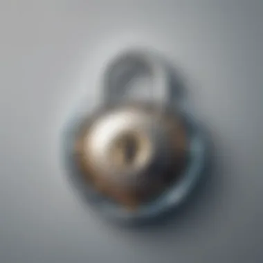 Cyber Privacy Lock Cyber Privacy Lock