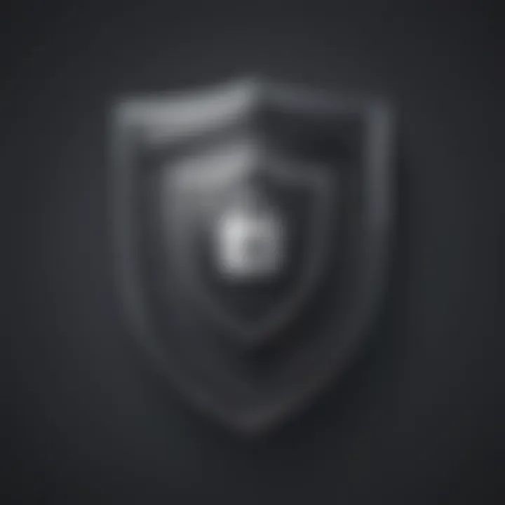 Protective shield with digital lock icon