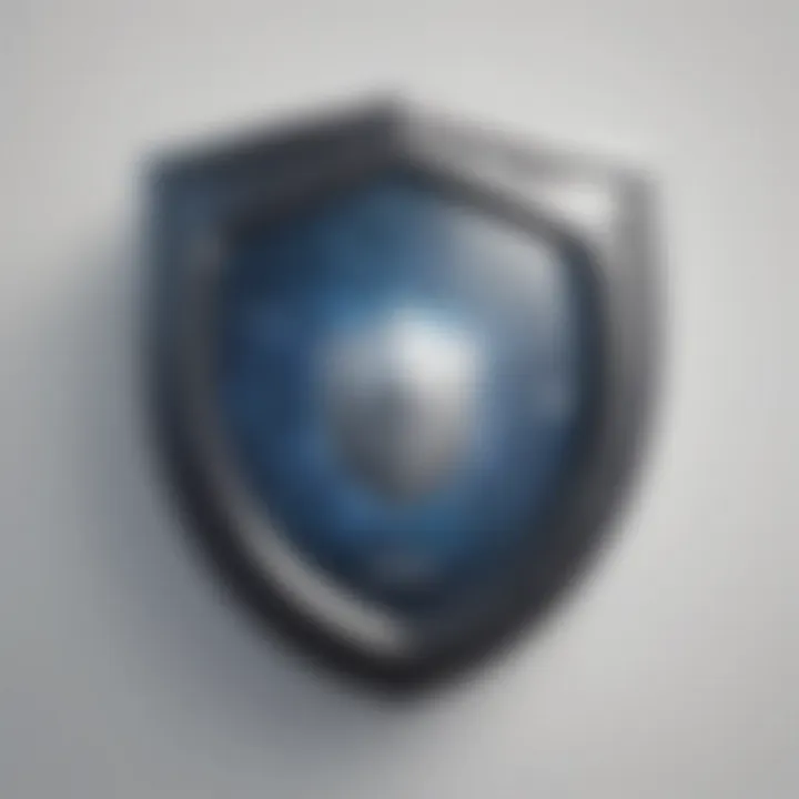 Cybersecurity Shield Icon