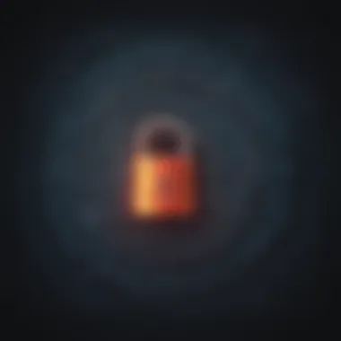 Data Encryption Ransomware Data Encryption Ransomware Illustration