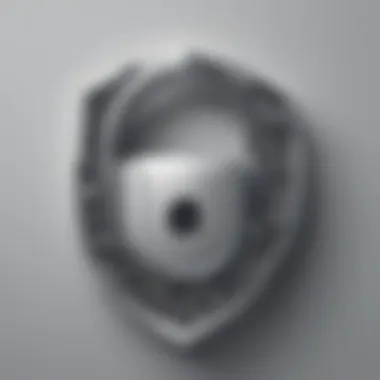 Data Protection Lock Icon