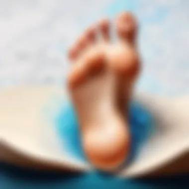 Navigating the Digital Footprint Terrain Digital Footprint Mapping