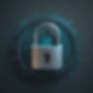 Digital Identity Lock