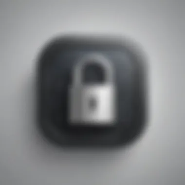 Digital Lock Icon