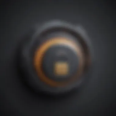 Digital Lock Digital Lock Protecting Data in Virtual Environment