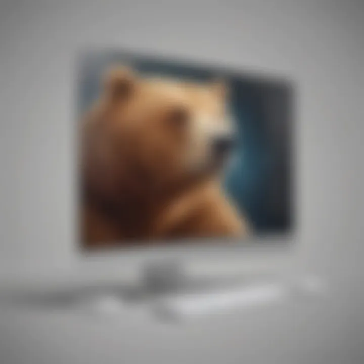 Digital privacy protection with TunnelBear on PC