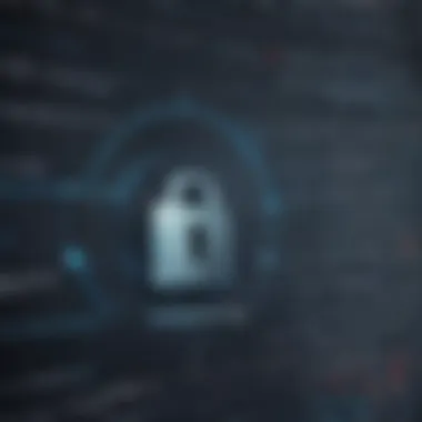 Digital Privacy