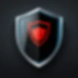 Digital Security Shield Icon