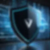 Illustration of a digital shield representing online security