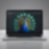 Elegant device displaying Peacock app logo