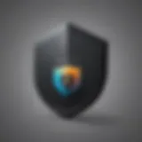 Elegant Digital Security Icon