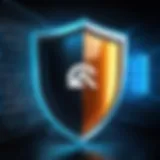 Digital Shield Antivirus Program