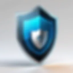 Cybersecurity Shield