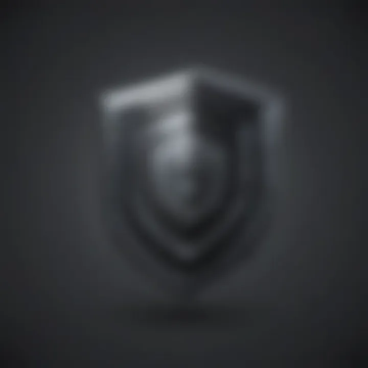 Virtual Sentinel: Shield and Key Icon