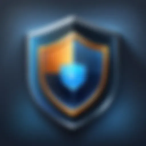 Privacy Shield Icon