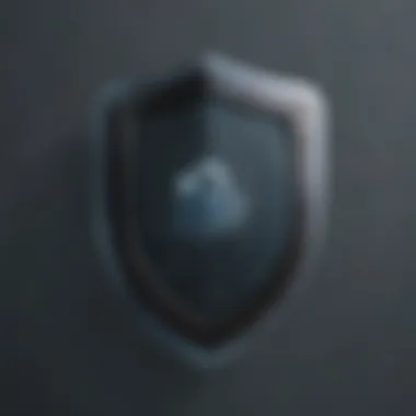 Innovative Security Shield Innovative Security Shield