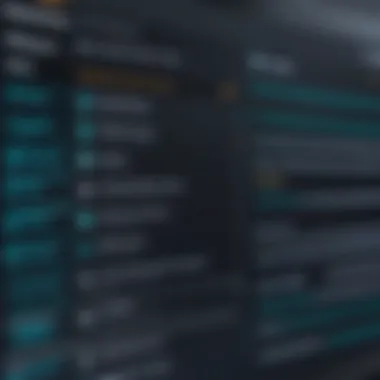 VPN Software Interface Overview Software interface displaying VPN options