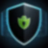 Digital representation of online security with a VPN shield