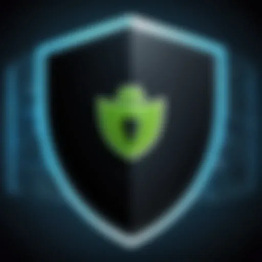Digital representation of online security with a VPN shield