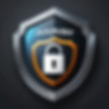 Securing Privacy Online Digital security concept with shield and lock