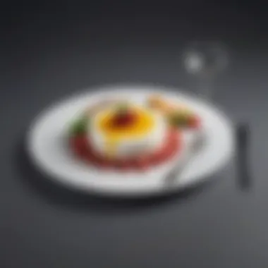 Gourmet Dish Presentation Gourmet dish presentation