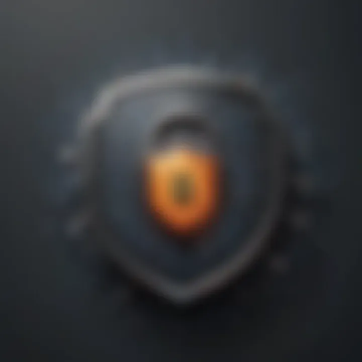 Shield with digital lock icon