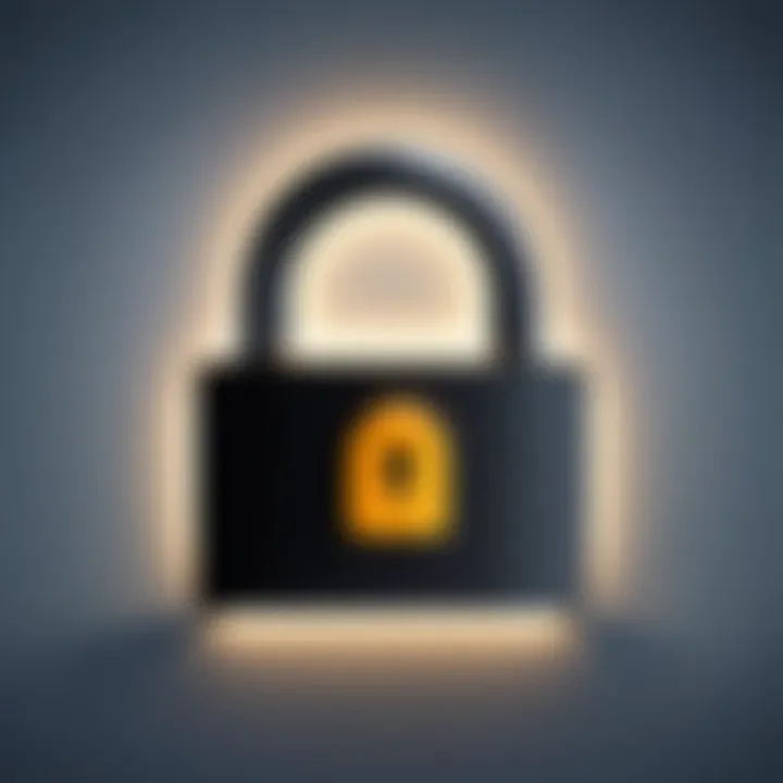 A lock symbol representing online security and privacy