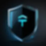 A digital shield representing online security