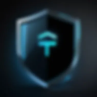 A digital shield representing online security