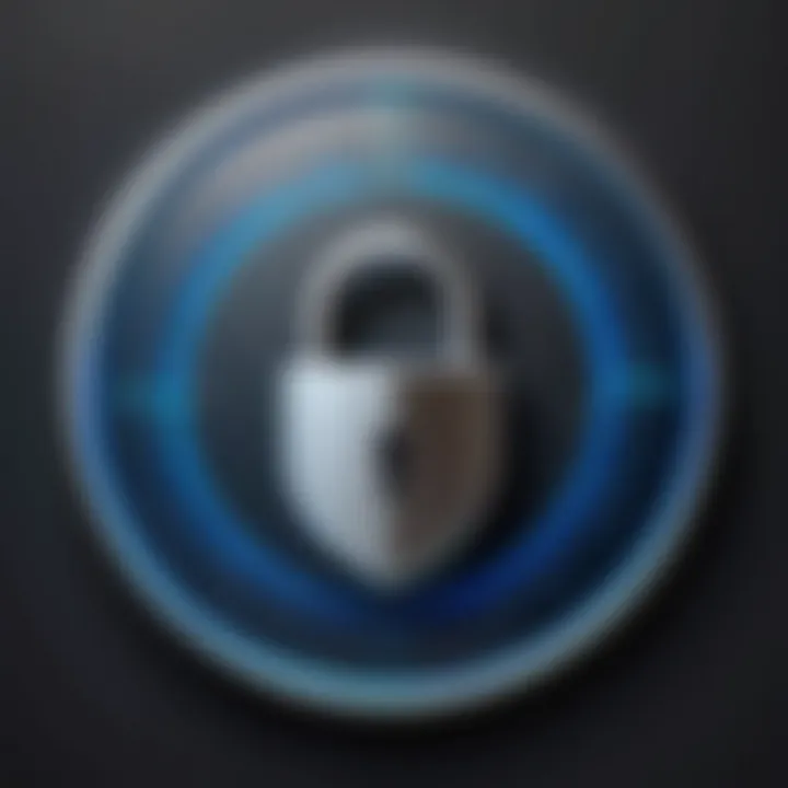 Privacy shield with a lock