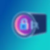 Secure password vault illustration