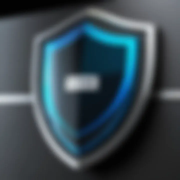 A shield representing data protection