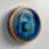 A digital lock symbolizing online security