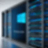 A detailed diagram showcasing the architecture of Windows hosting.