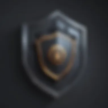 Fortified Shield Icon