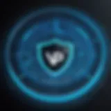 A visual representation of VPN connections securing user data