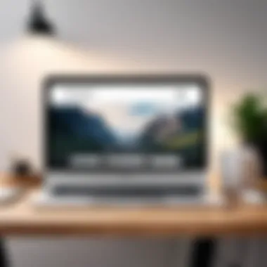 Revolutionary Website Design Impact Impactful Website Design with Third-Party Squarespace Templates