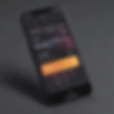 Elegant Instagram Story Music Playback Customization