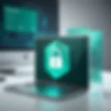 Secure login process with Kaspersky Safe Money