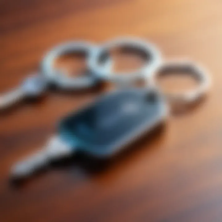 Best practices in using keychain password managers