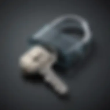 Lock and Key for Password Protection Lock and key depicting password protection