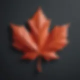 Maple Leaf Symbolizing Canadian Culture